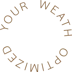 Your Wealth Optimized